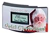 Countdown Clock - Christmas Countdown