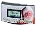 Countdown Clock - Christmas Countdown