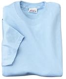 Hanes Beefy-T - Born To Be Worn 100% Cotton T-ShirtLight Blue-S