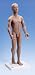 3B Scientific Acupuncture Chakra Full Body Model