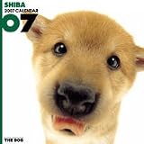 THE DOG 柴 2007年 カレンダー