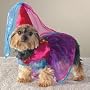 MEDIUM - Little Princess Dog Costume