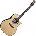 Al Di Meola Acoustic Electric Guitar Natural