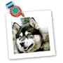 Dogs Alaska Malamute - Alaska Malamute - Quilt Squares