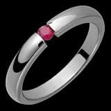 Amylea Ruby Titanium Ring