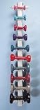 Wall Mounted Dumbbell Rack