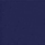 ADP Cardstock 12 x 12 - IRIS Single Sheet