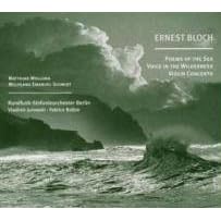 Poems Of The Sea, Voice In The Wilderness, Violin Concerto