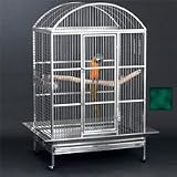 Avian Adventures Grande Dometop Bird Cage
