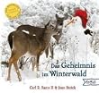 Das Geheimnis im Winterwald: Ein Fotografisches Winterm�rchen