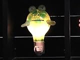 Frog Plug-In Night Light