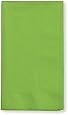 Creative Converting Touch of Color 2-Ply 50 Count Paper Dinner Napkins, Fresh Lime