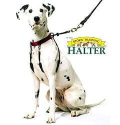 Sporn No-Pull Harness - Red / X-Large