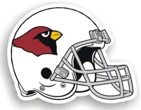 Arizona Cardinals 12