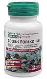 Herbal Actives Coleus Forskohilli Forslean - 60 - Capsule