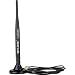 TP-Link TL-ANT2405C W-LAN Omni-direktionale Antenne innen 5dBi 2.4GHz [Amazon frustfreie Verpackung]