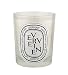 Verveine (Verbena) Candle 190g by Diptyque