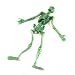 Large Stretchy Skeletons Assorted Colours (1 Supplied)_s-1