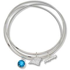 NFL Officially Licensed Blue Crystal Carolina Panthers Bangle Bracelet Set