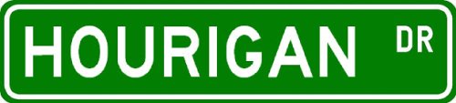 HOURIGAN Street Sign ~ Personalized Family Lastname Sign ~ Gameroom, Basement, Garage Sign ** ALUMINUM