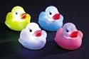 Floating & Flashing Duckys Per Dozen