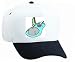 White Cap with water, whale, pool, gray, swimming, mammal