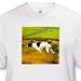   - The Pointer Dog - Toddler T-Shirt (3T)