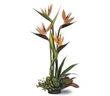 Teleflora