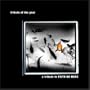 Tribute to Faith No More: Tribute of the Year