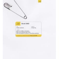 Excel 2002 (TY Quick Fix Computing)