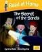 Read at Home: Level 5C: Secret of the Sands (Read at Home Level 5c)