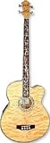 Acoustic Bass Guitars