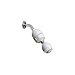 Rainshow'r CQ-1000MS Shower Filter with Massaging Shower Head