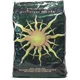 Solid Gold Holistique Blendz Basis-Plus Adult Maintenance Dog Food (15-lb bag)
