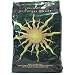 Solid Gold Holistique Blendz Basis-Plus Adult Maintenance Dog Food