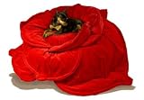 The Rose Bed
