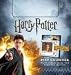 Harry Potter 2010 Desk Calendar