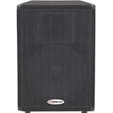 Harbinger HX151 15 &acute; 2 - Way Speaker Cabinet - B000MZPPD0