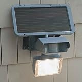 Outdoor Security Light (Gray) (6H x 12W (solar panel))