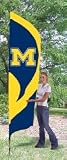 Michigan Wolverines Tall Team Flag