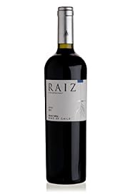 Raiz Merlot 2012 - Case of 6