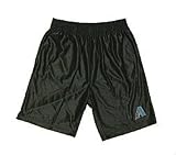 Arizona Diamondbacks Team Shorts