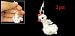 Jewelry Plastic Beads Duck Pendant Mobile Phone Charm Strap 2pcs