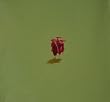 Hand painted Chinese Contemporary Art Oil Painting- Praying Monks, green
