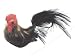 Accent Design Floral and Garden Accents Barnyard Bird Chicken 3 1/2 Feather, Rust/Black/Red