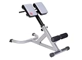 Strength Trainer 45 Degree Hyperextension