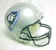 Georgia Force Arena Deluxe Replica Helmet