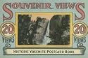 Historic Yosemite Postcard Book