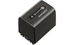 Sony NP-FV70 Batterie Infolithium cam...