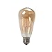 Aufitker Vintage Edison LED Bulb, 6W Antique LED Bulb Squirrel Cage LED Filament Light For Decorate Home, Gilded Glass Cover,2300K,E26 (E27) Screw Base (Warm White )(2 Pack)